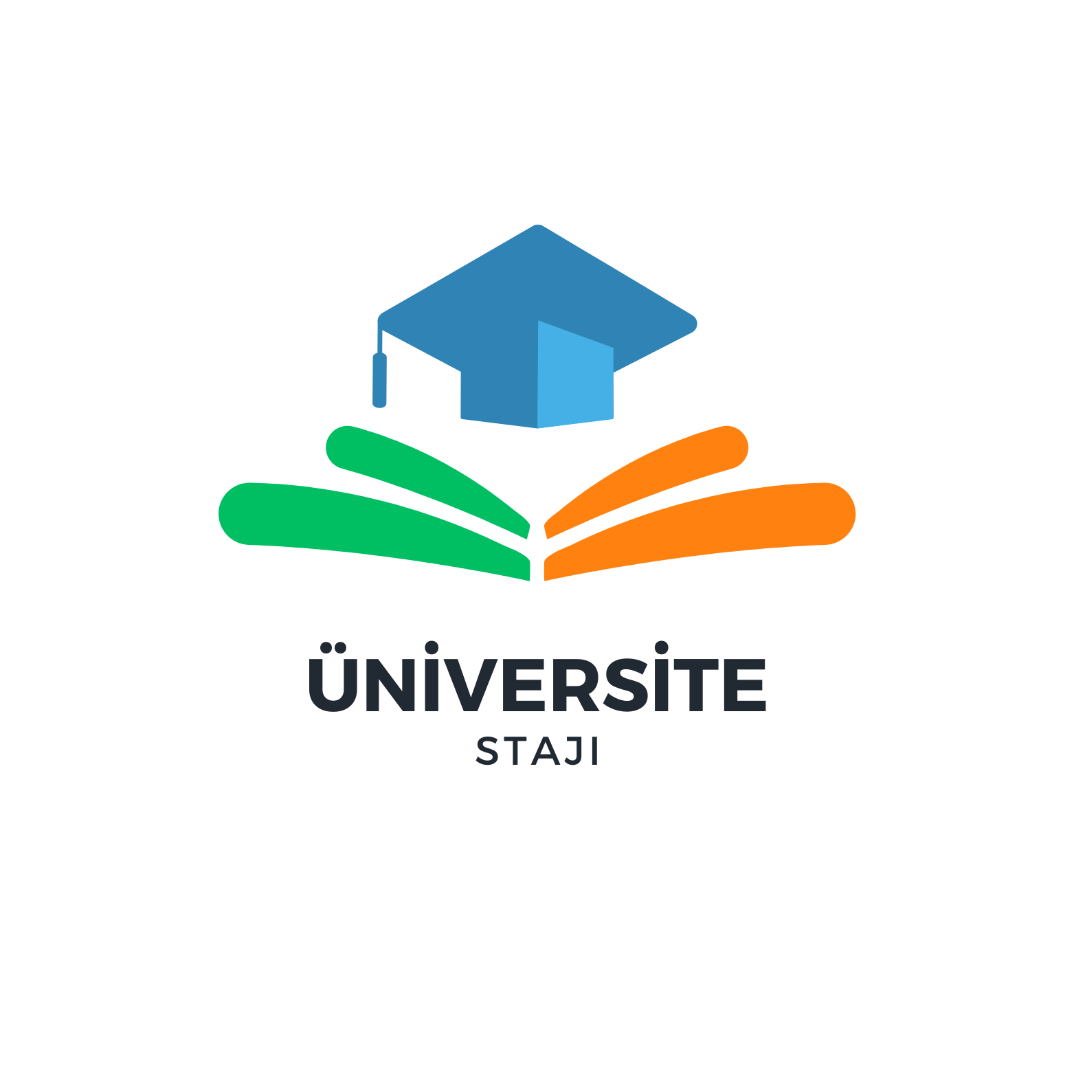 Üniversite Stajı